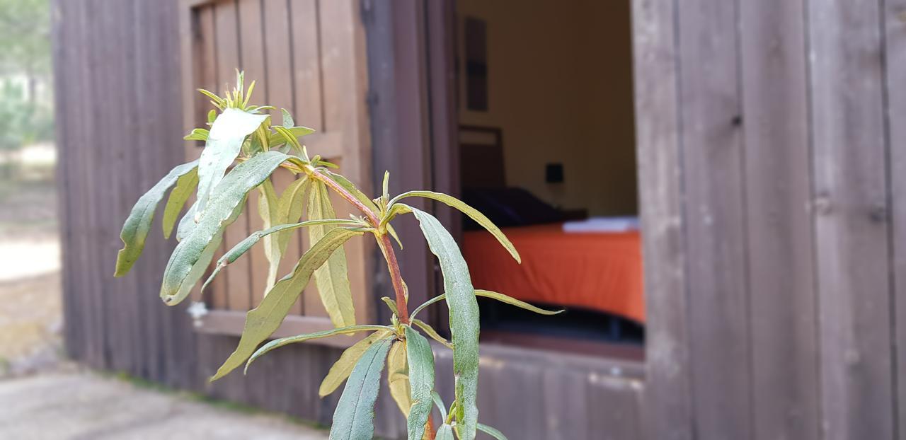 Casas Rurales Cijara ξενώνας Helechosa Εξωτερικό φωτογραφία